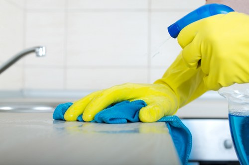 Detailed cleaning work in a SW15 property interior